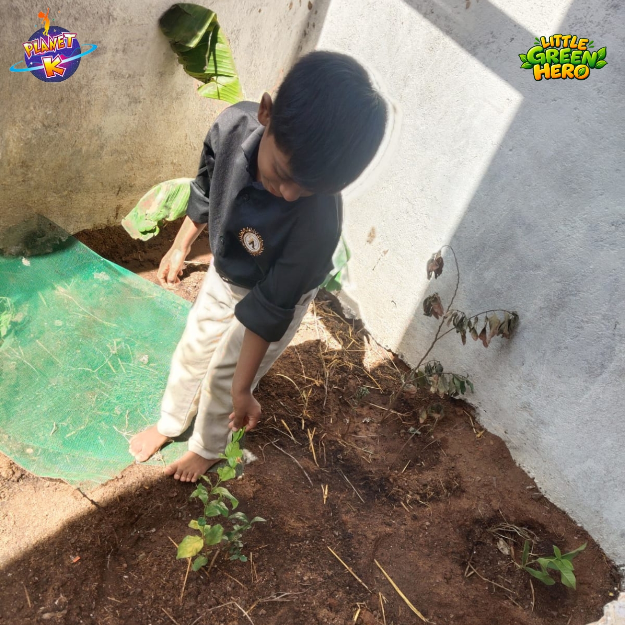 Planet K Sapling Plantation Event